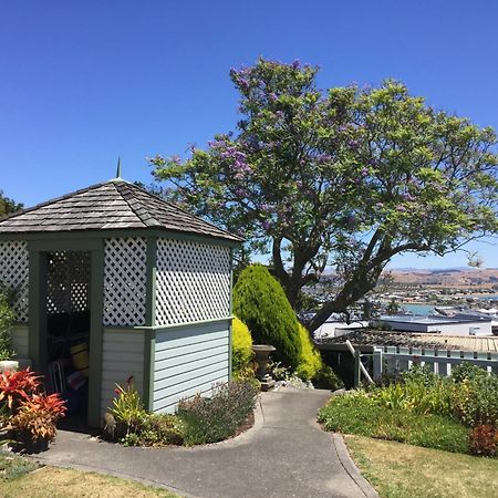 Jacaranda Lodge - Napier Hill Holiday Home Экстерьер фото