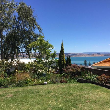 Jacaranda Lodge - Napier Hill Holiday Home Экстерьер фото